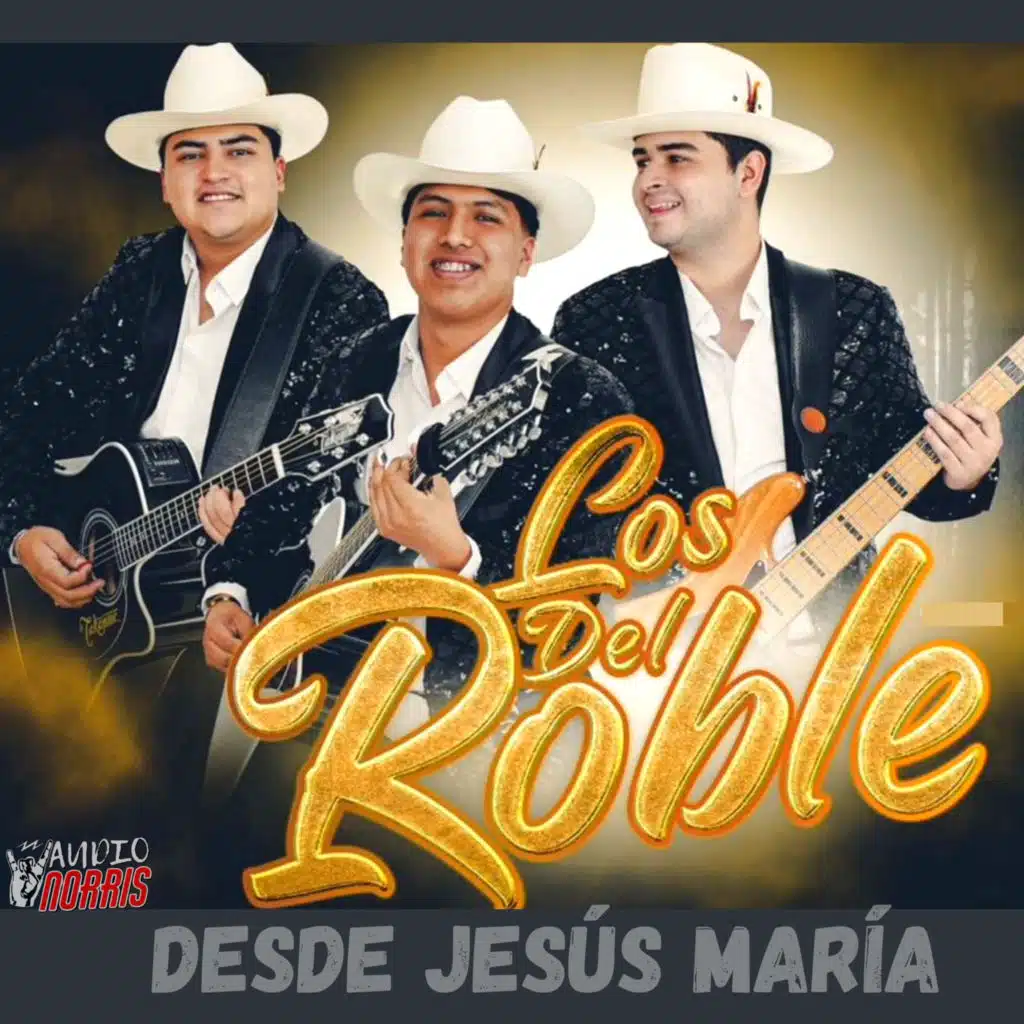 Desde Jesús María