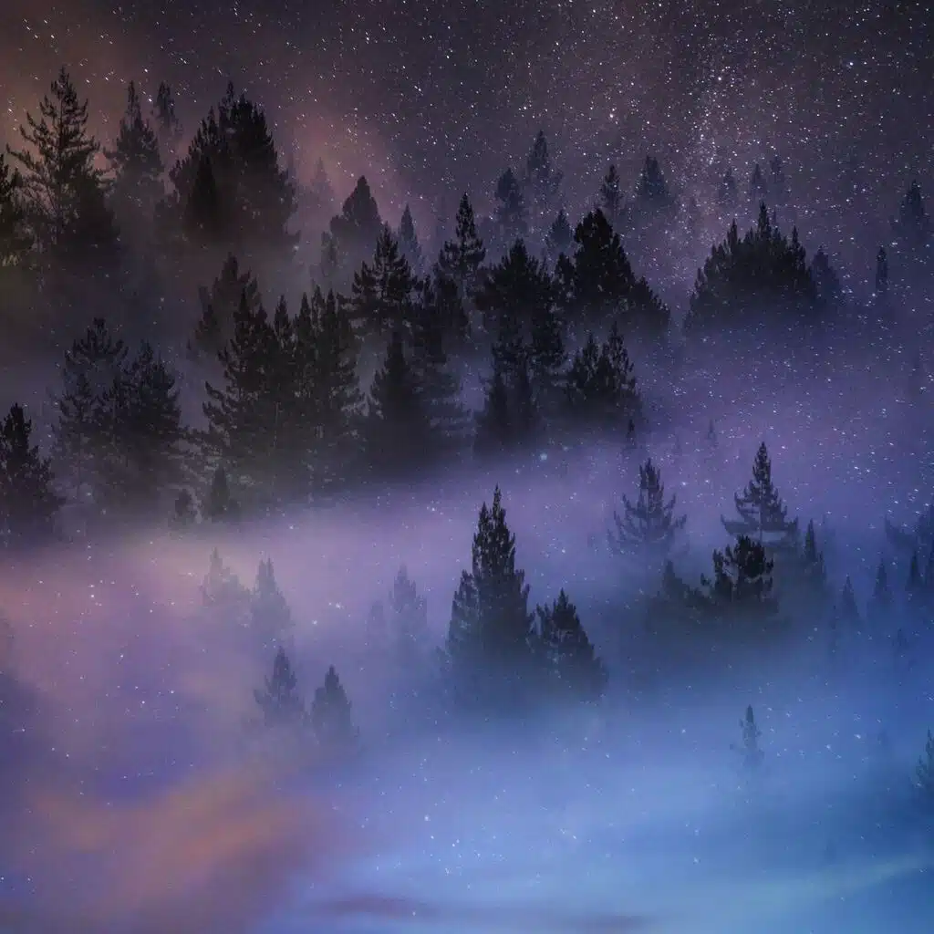 Tranquility
