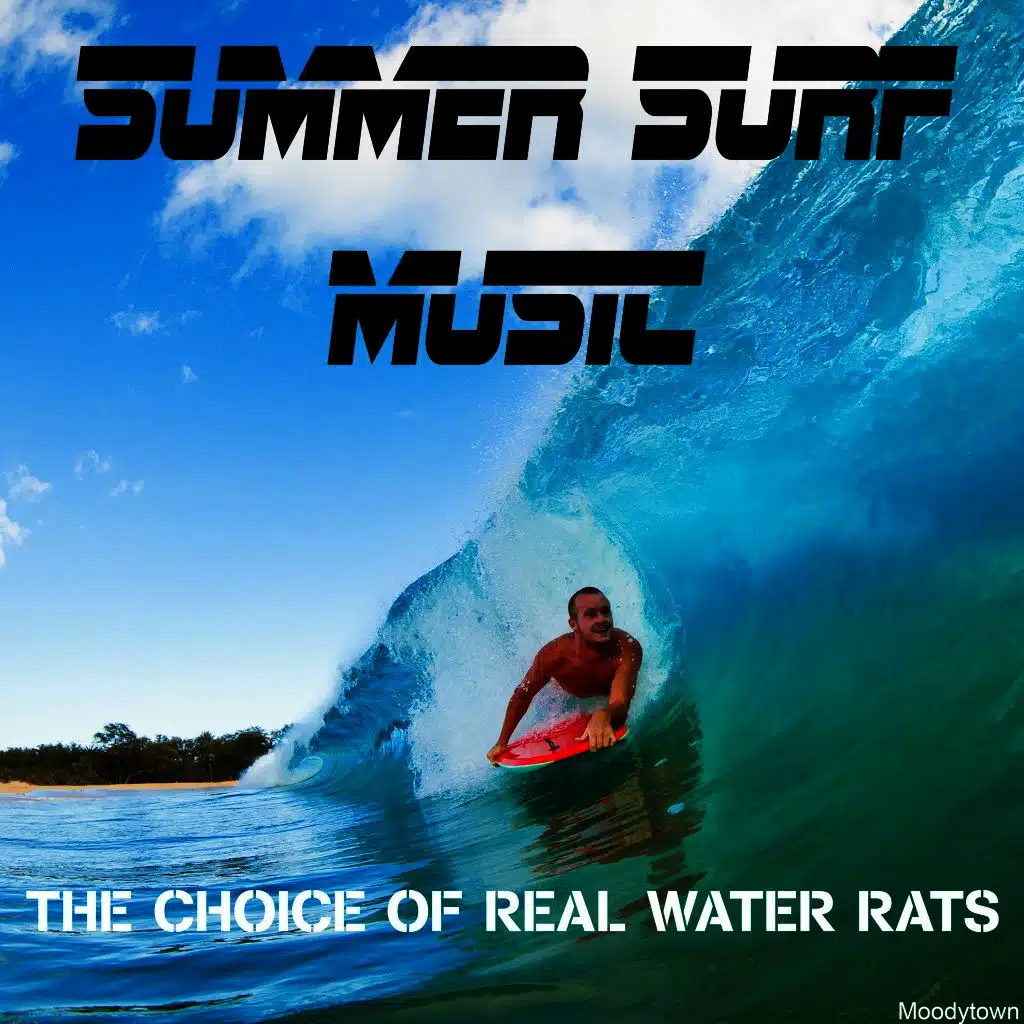 Summer Surf Music the Choice of Real Water Rats