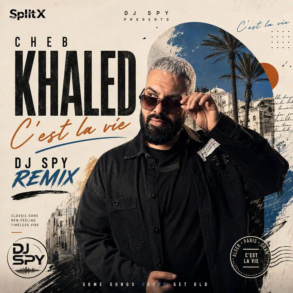C'EST LA VIE REMIX