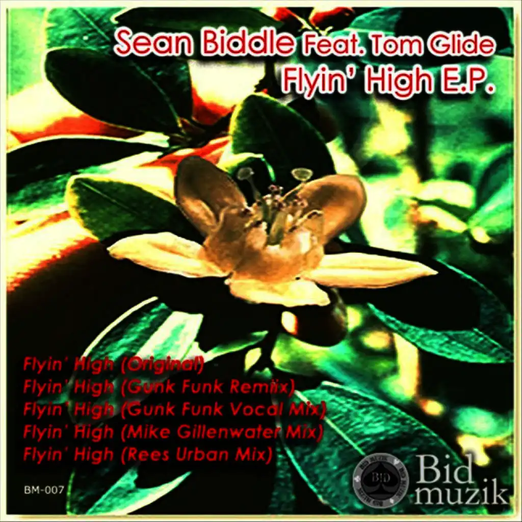 Flyin' High (Rees Urban Mix) [ft. Tom Glide]