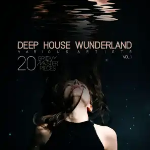 Deep House Wunderland, Vol. 1 (20 Groovy Master Pieces)