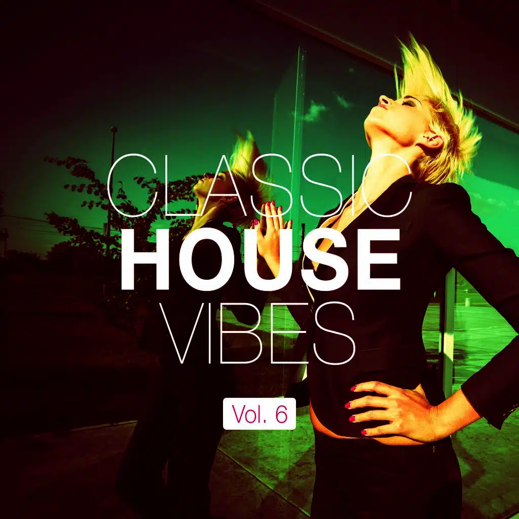 Classic House Vibes, Vol. 7