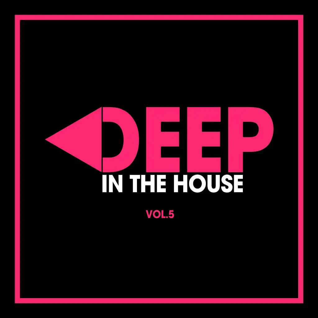 Deep in the House, Vol. 5