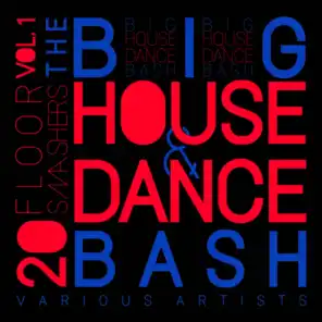 The Big House & Dance Bash, Vol. 1 (20 Floor Smashers)
