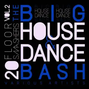 The Big House & Dance Bash, Vol. 2 (20 Floor Smashers)
