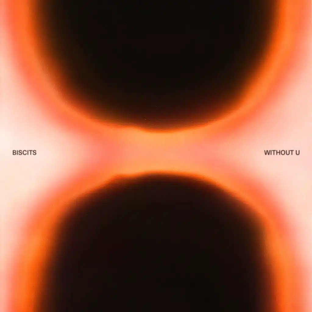 Without U (Extended Mixes)