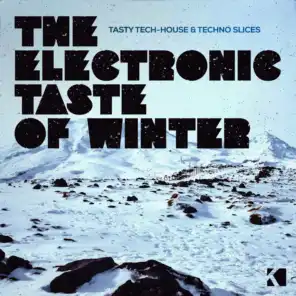 The Electronic Taste of Winter (Tasty Tech-House & Techno Slices)