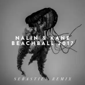 Beachball 2017 (Sebastien Remix)