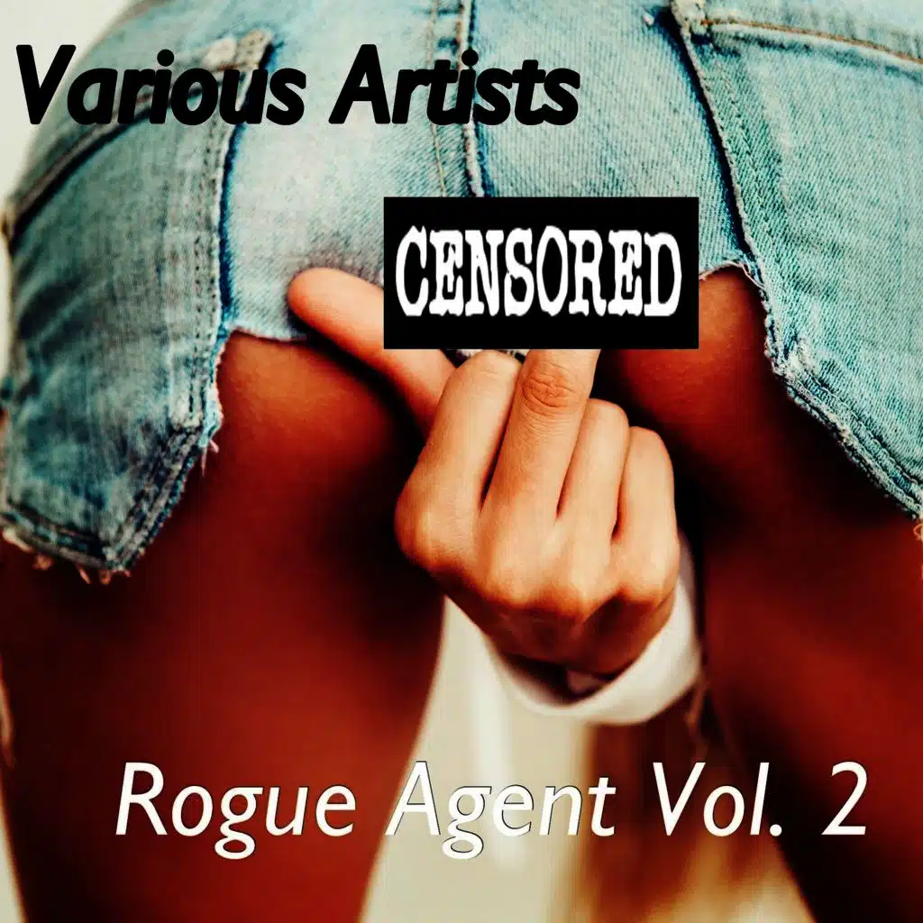 Rogue Agent, Vol. 2