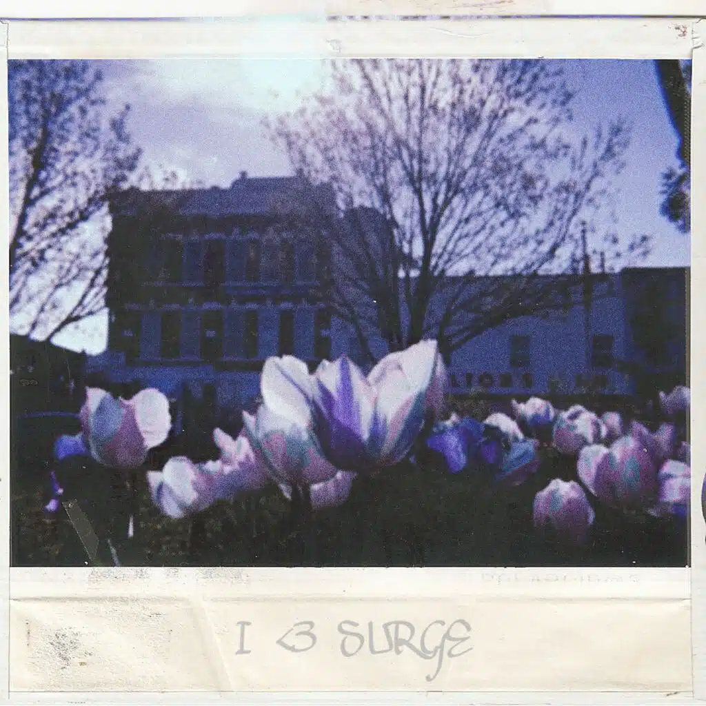 I <3 SURGE