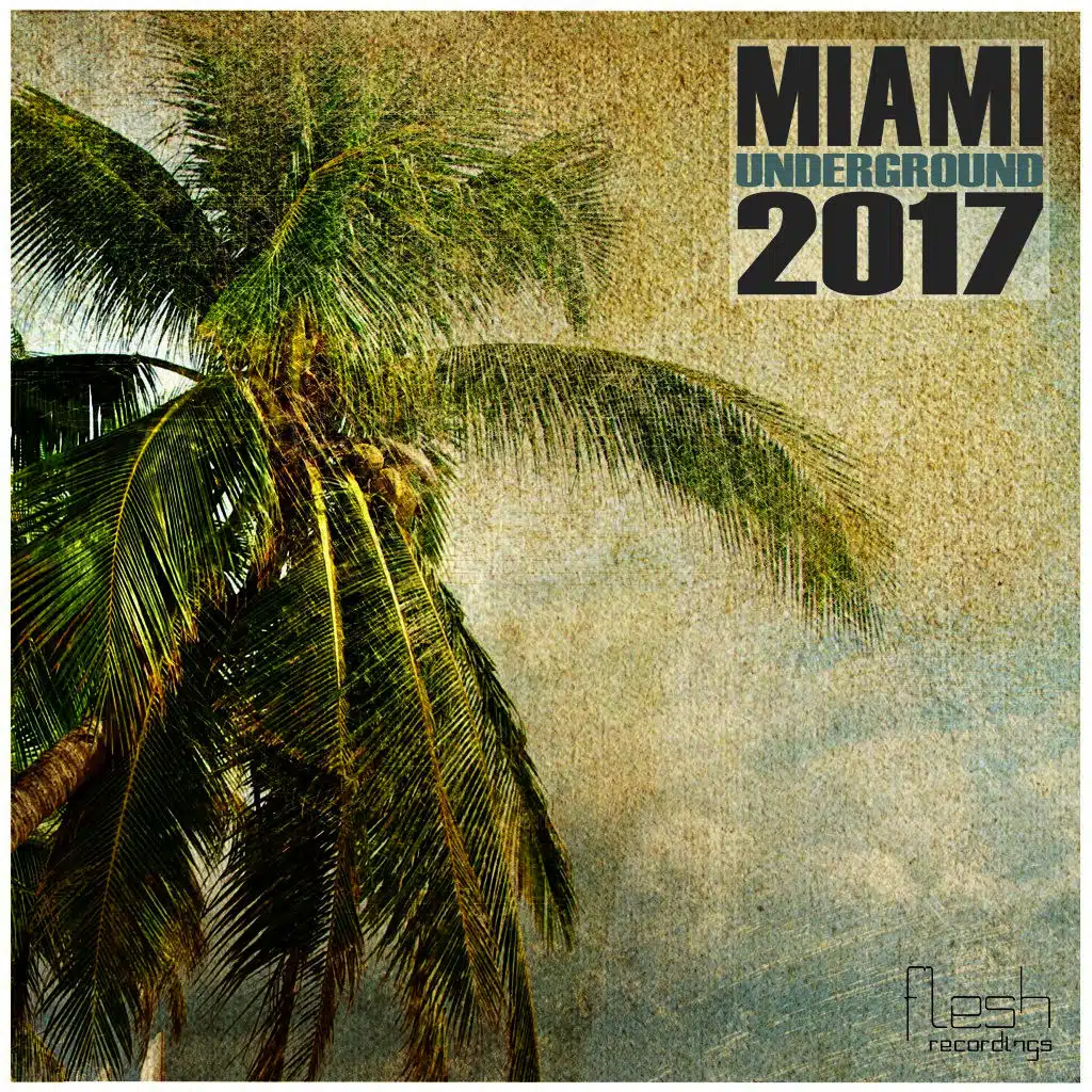 Miami Underground 2017