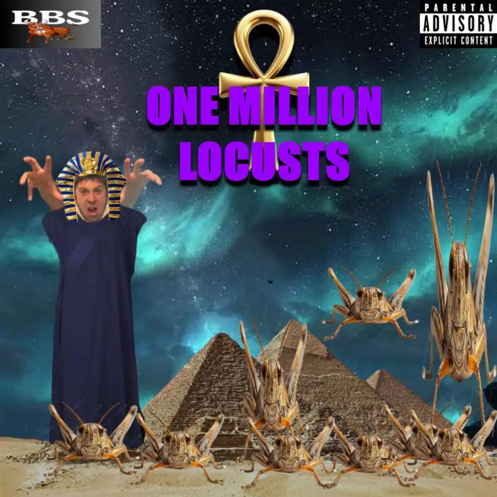 ONE MILLION LOCUSTS