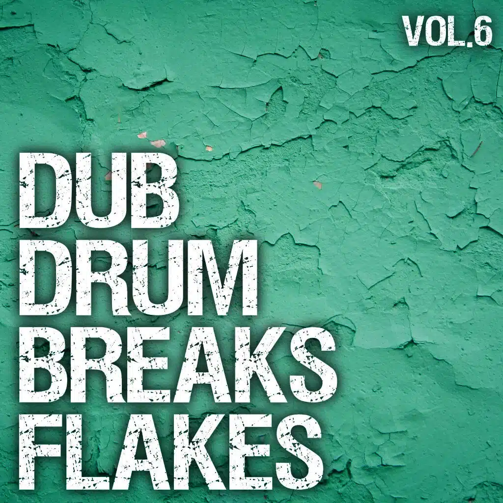 Dub Drum Breaks Flakes, Vol. 6