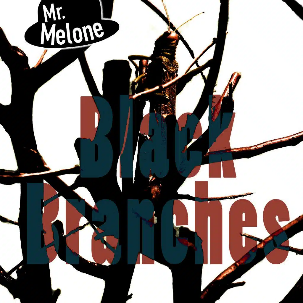 Black Branches