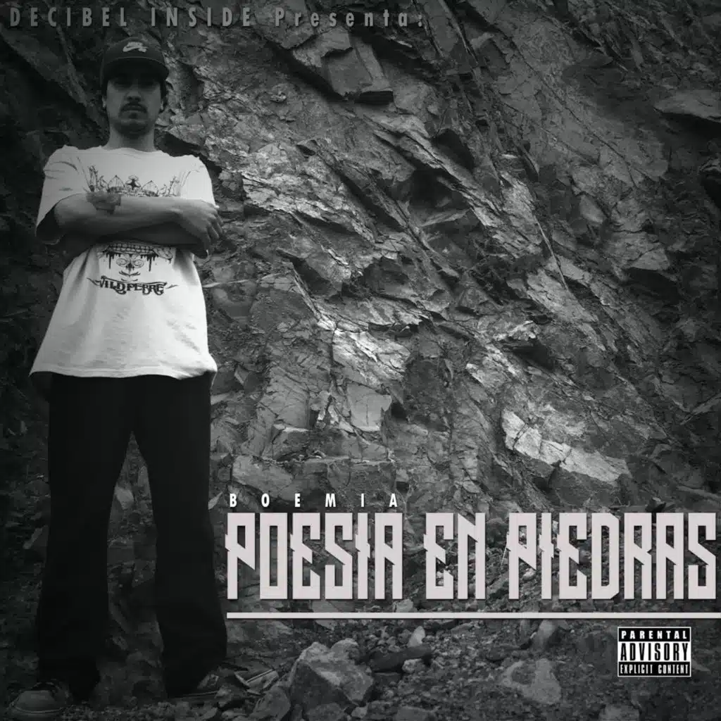 Poesia En Piedras