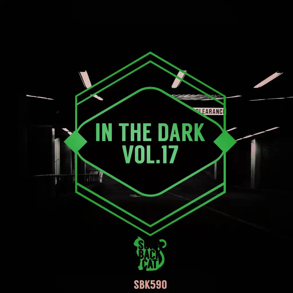 In the Dark, Vol. 17