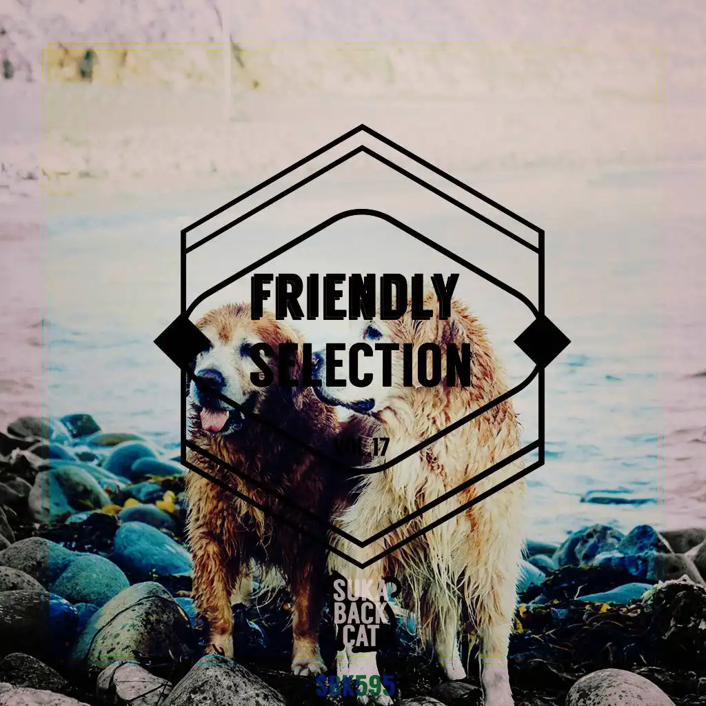 Friendly Selection, Vol. 17