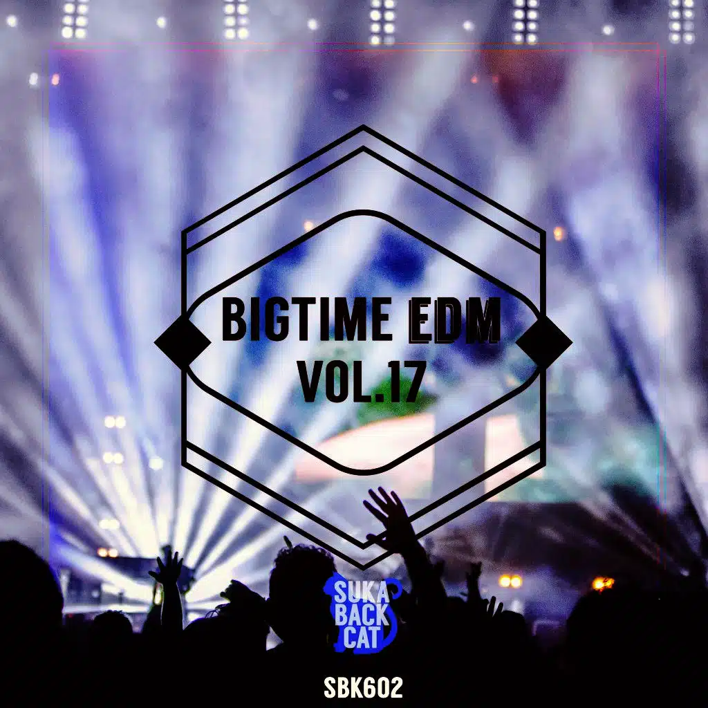 Bigtime EDM, Vol. 17