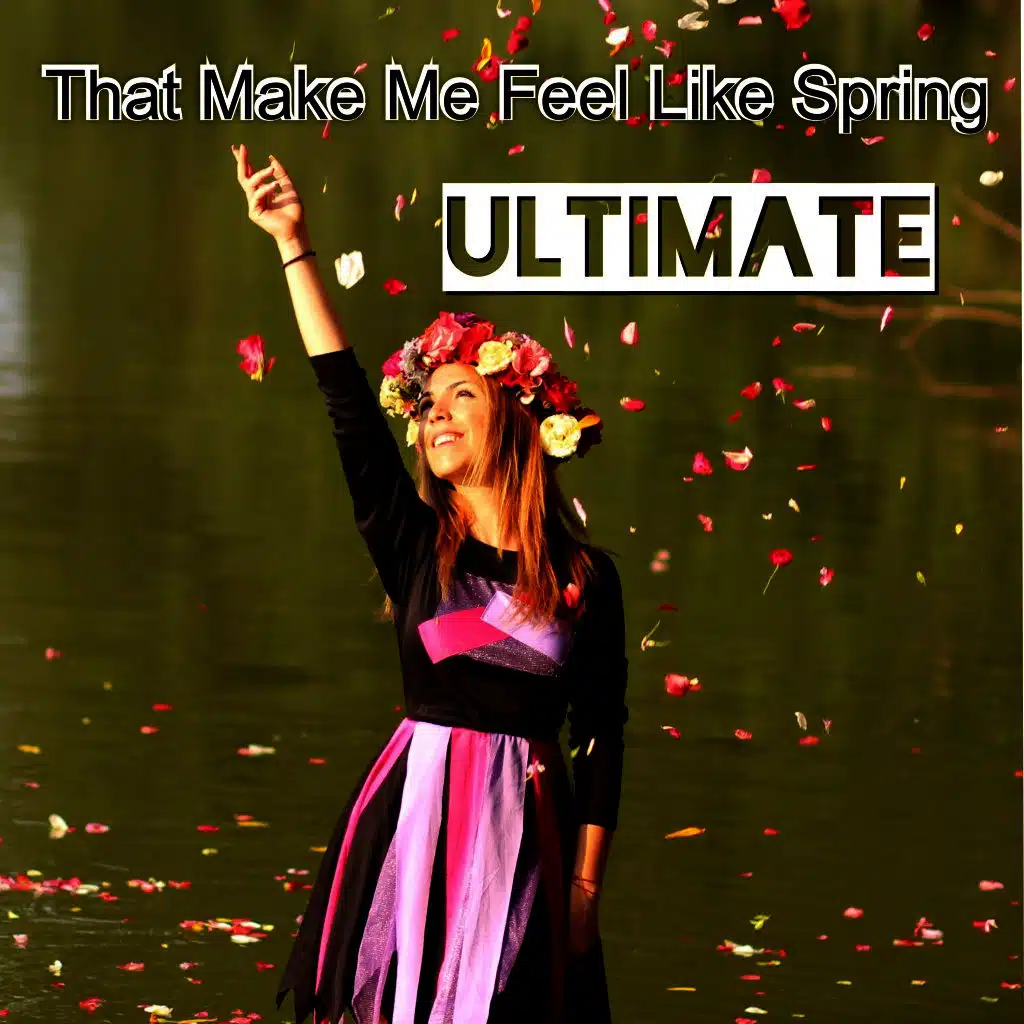 Up to You (Meven Kurt Remix) [ft. Paula P'cay]