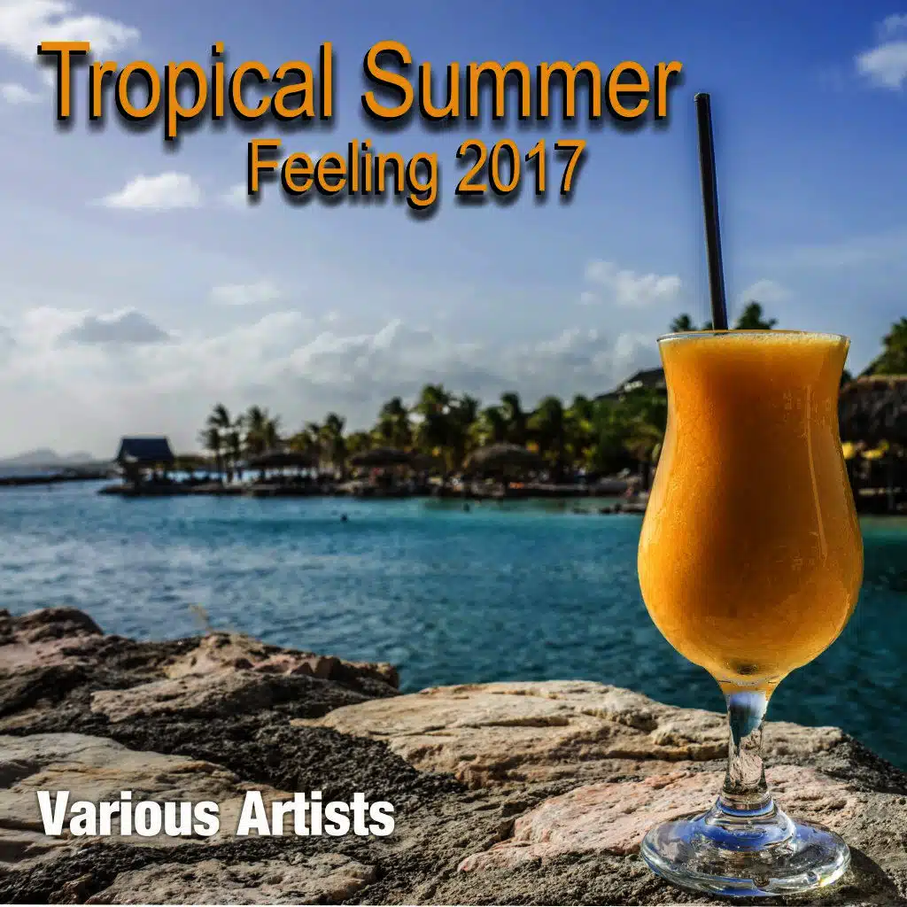 Tropical Summer Feeling 2017