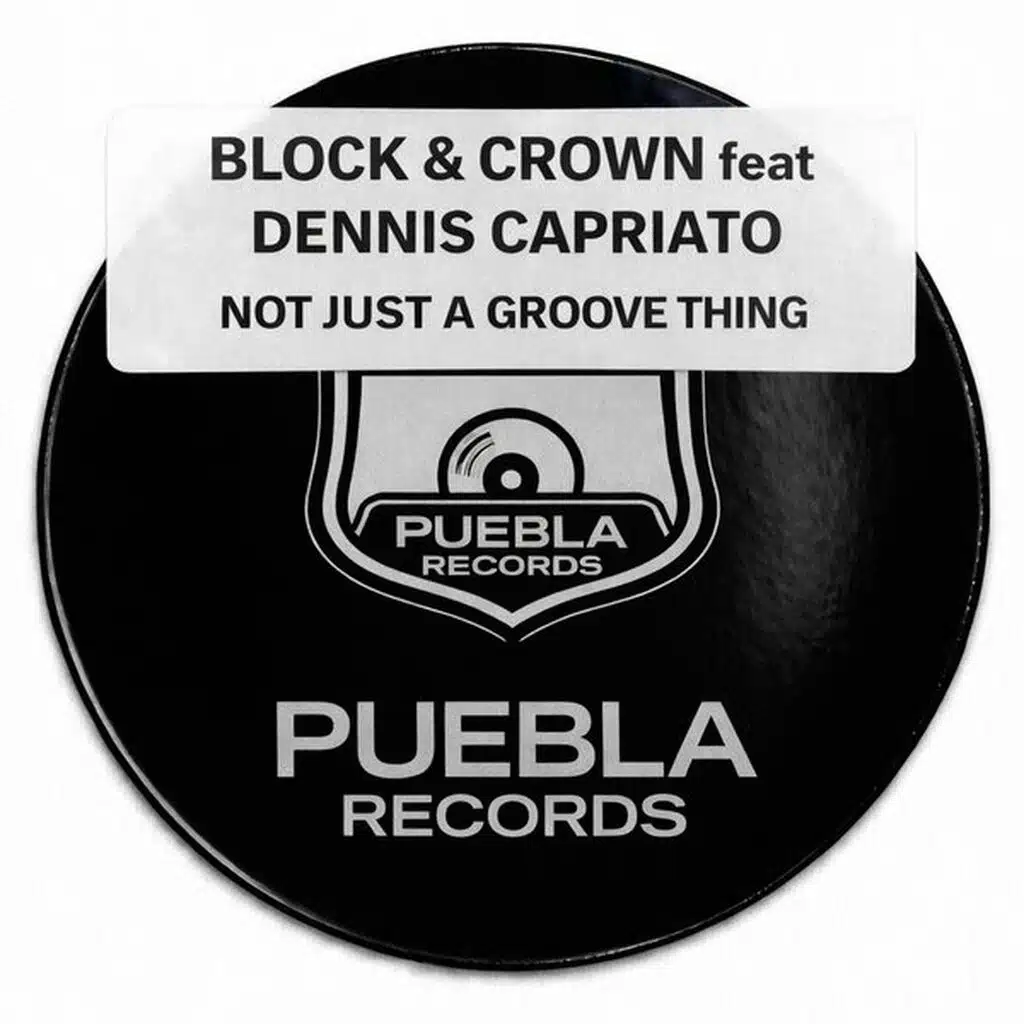 Not Just a Groove Thing