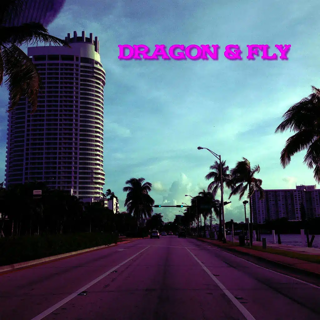 Dragon & Fly