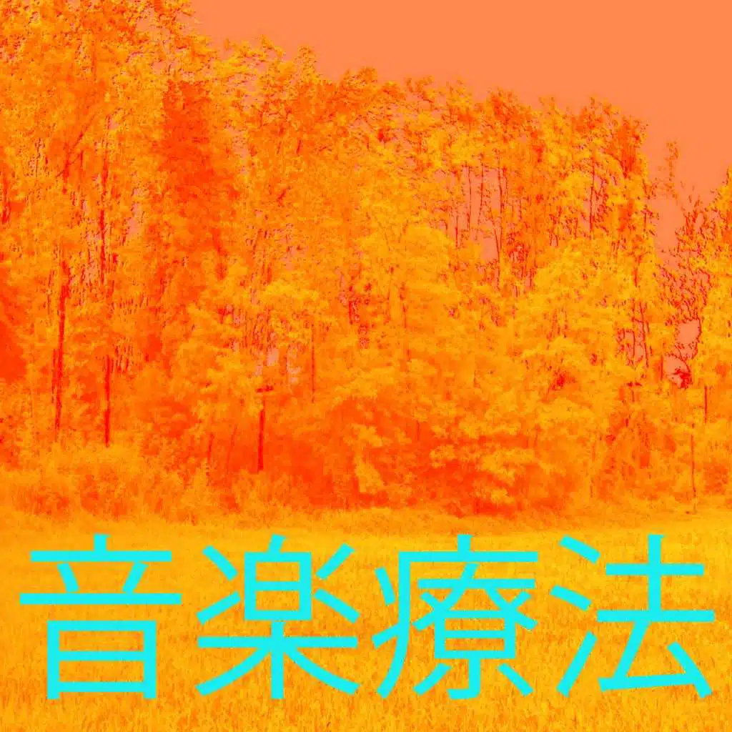 音楽療法 11