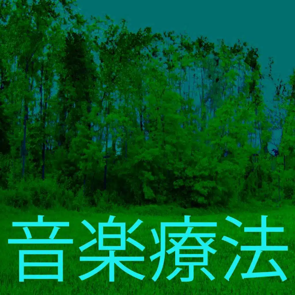 音楽療法 9