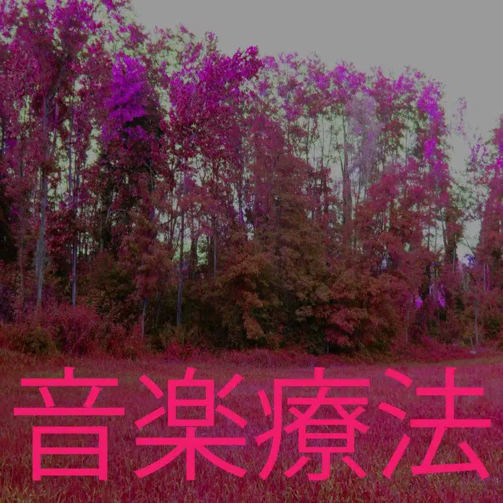 音楽療法 3