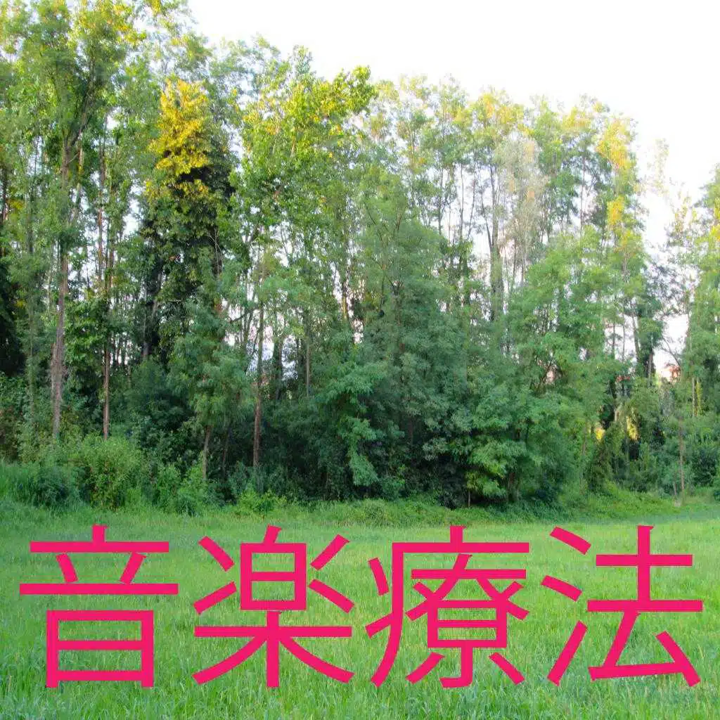音楽療法 1