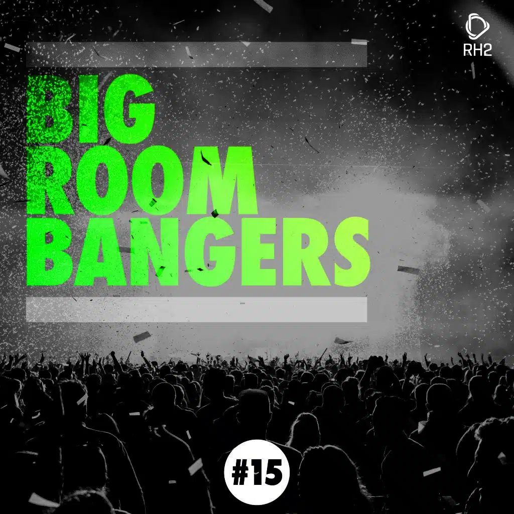 Big Room Bangers, Vol. 15