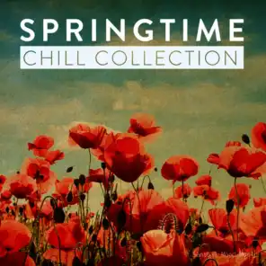 Springtime Chill Collection