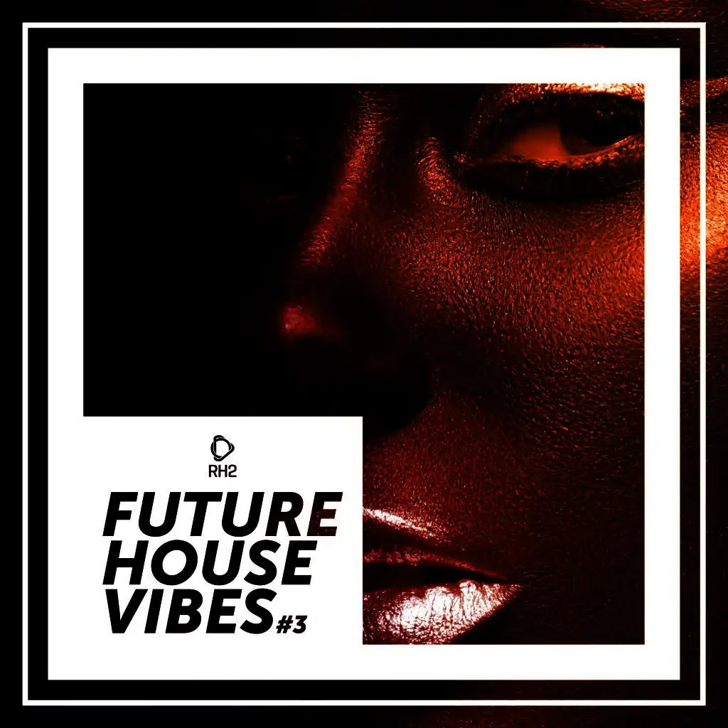 Future House Vibes, Vol. 3