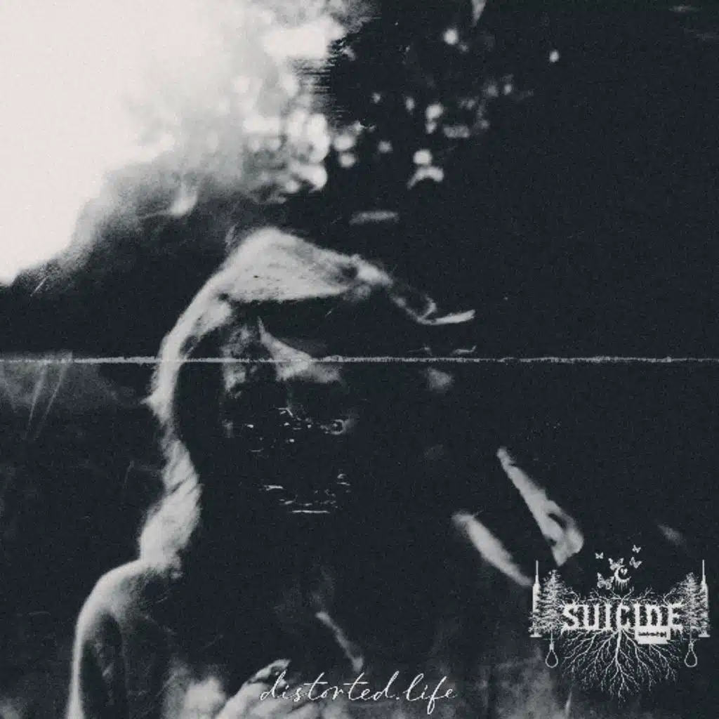 distorted.life