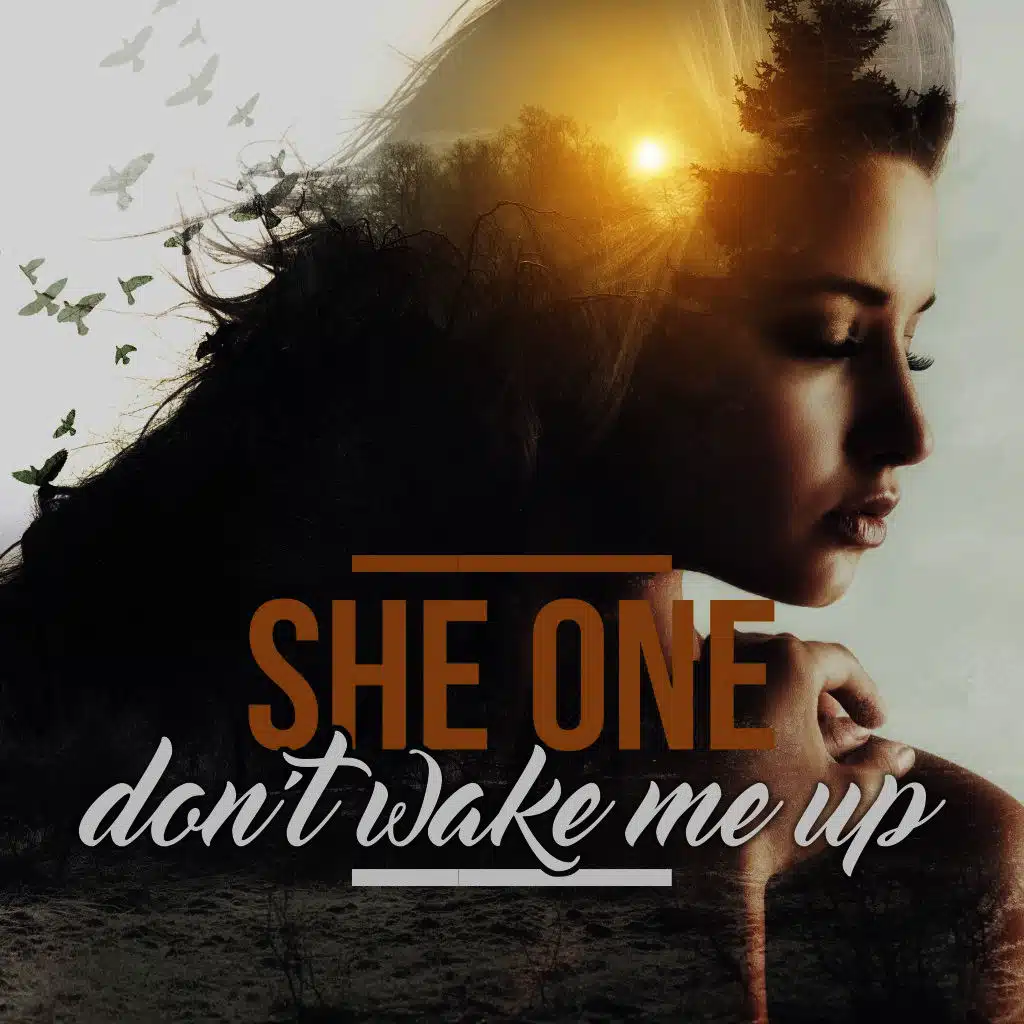 Don't Wake Me Up