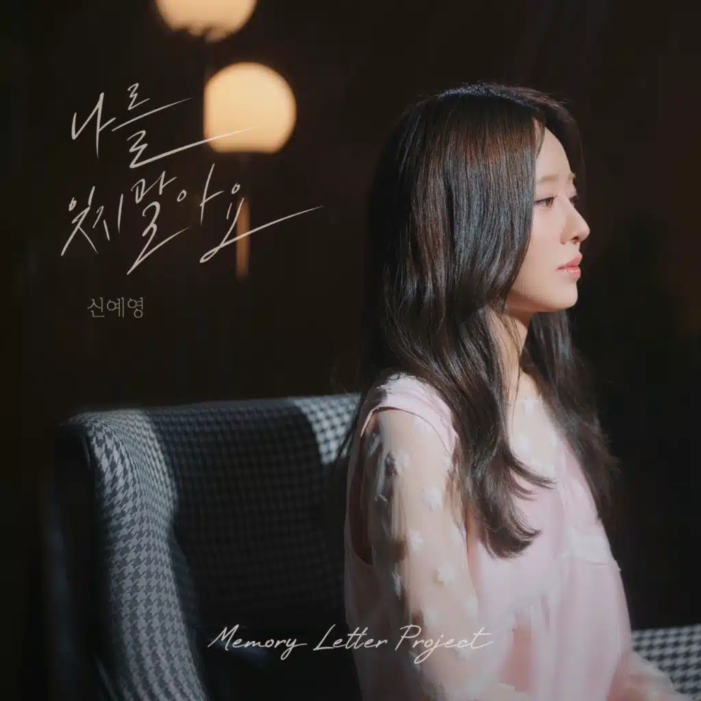 Please Don't Forget Me X MEMORY LETTER PROJECT