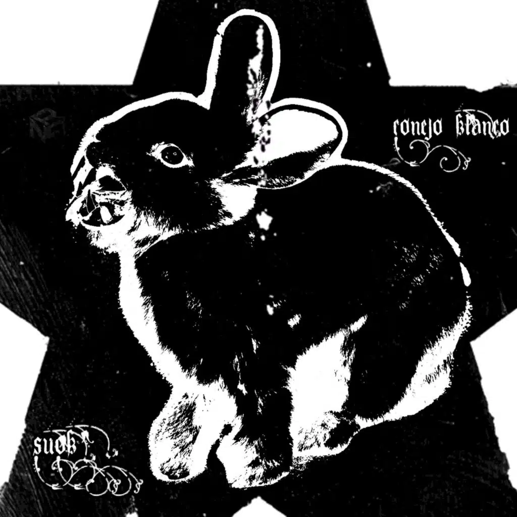 conejo blanco