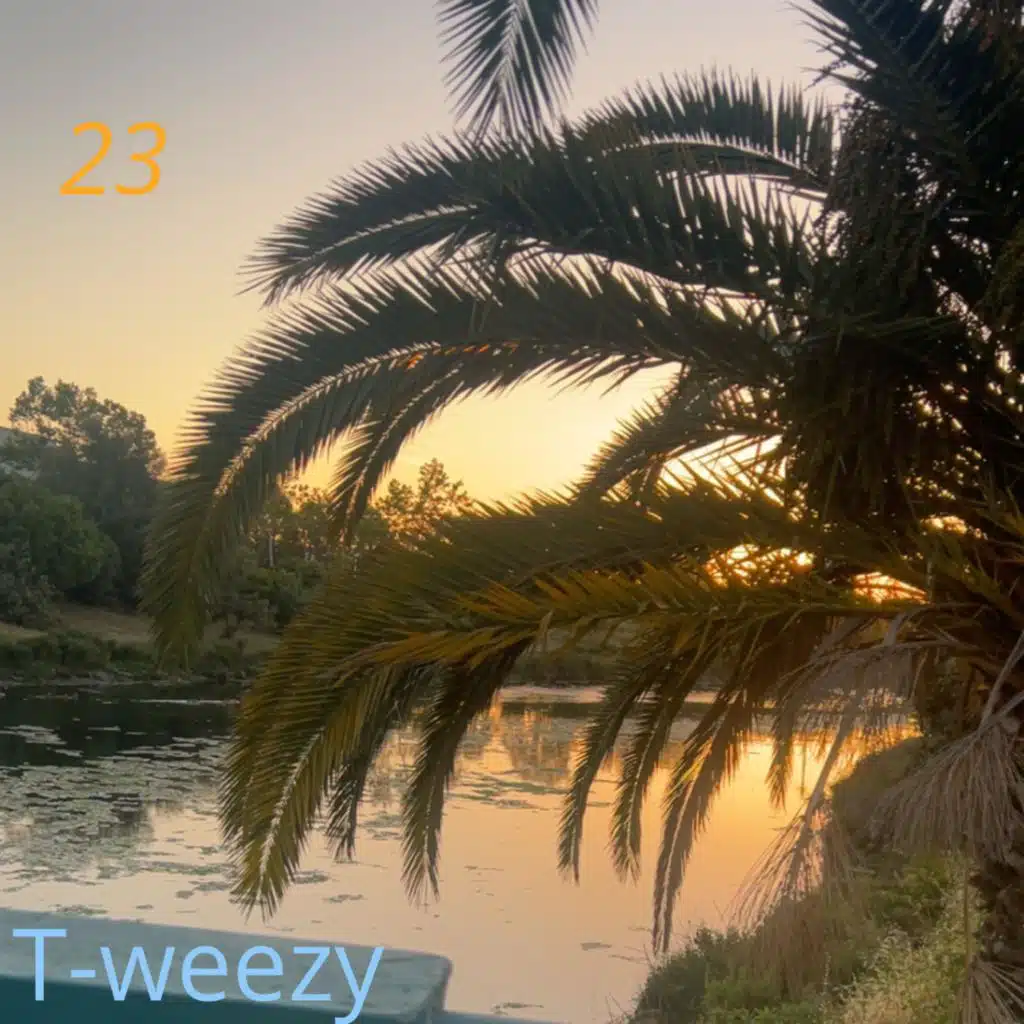23