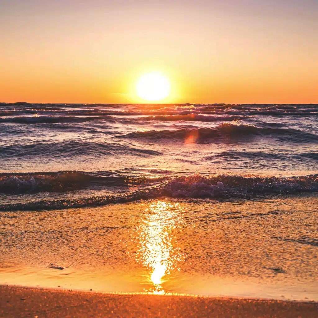 Sunlit Reflections