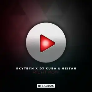 Right Now (Radio Mix) [ft. DJ Kuba & Neitan]
