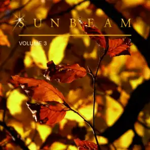 Sunbeam, Vol. 3