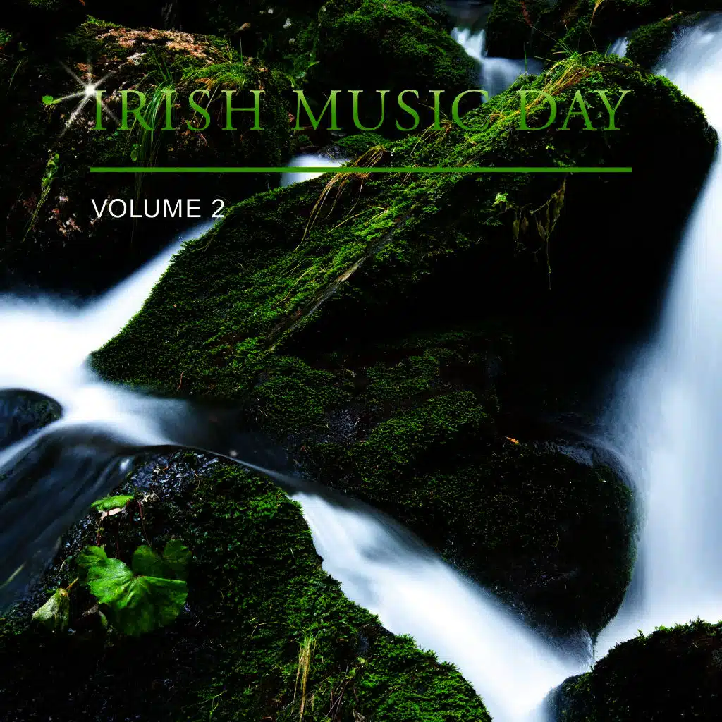 Irish Music Day, Vol. 2
