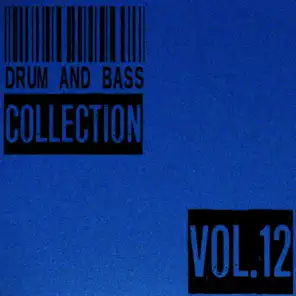 Drum and Bass Collection, Vol. 12