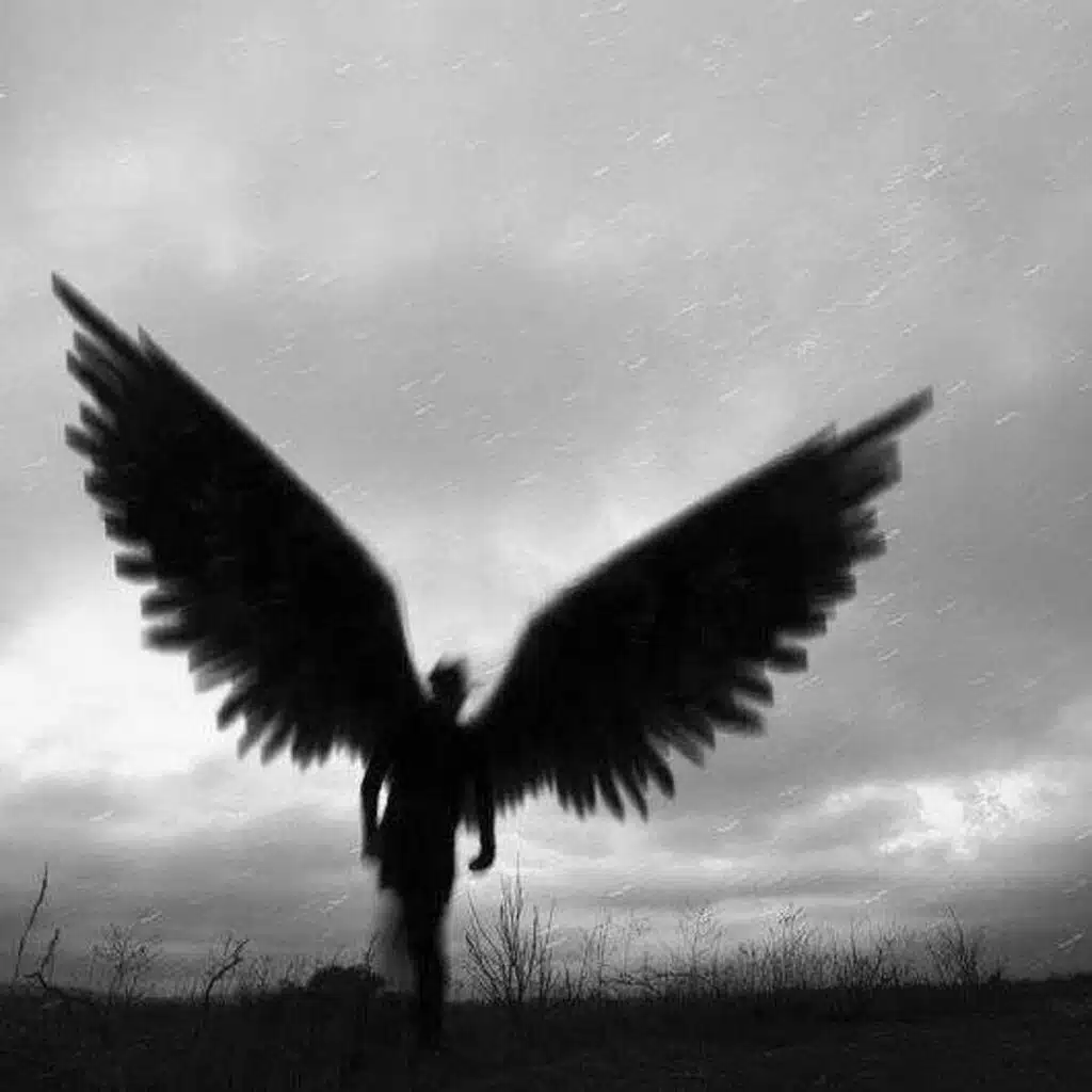 reverie