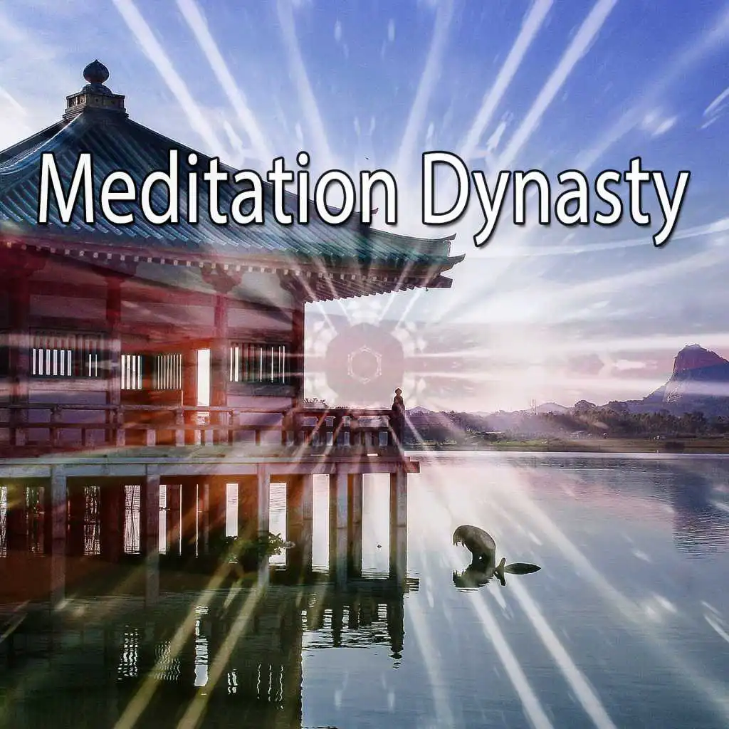 Meditation Dynasty