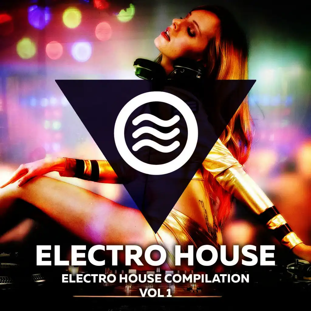 Electro House Compilation Vol. 1