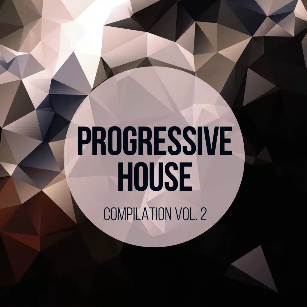 Progressive House Vol. 2