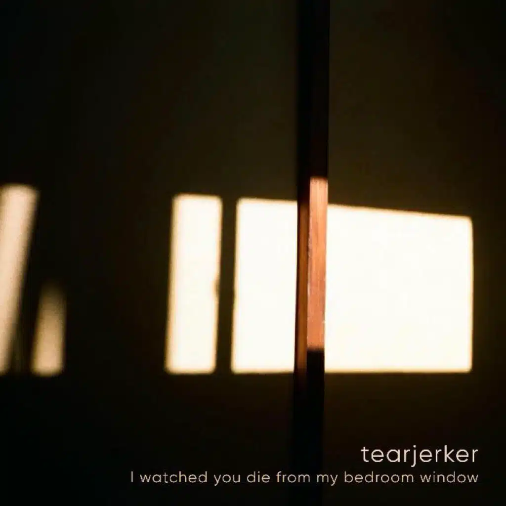 I watched you die from my bedroom window