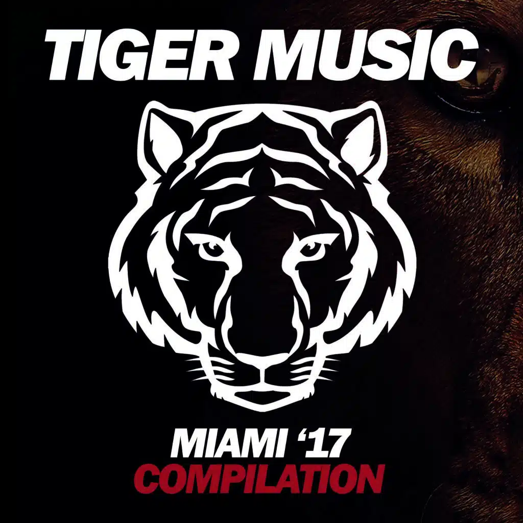 Rock It (Instrumental Mix) [ft. DJ Lykov]